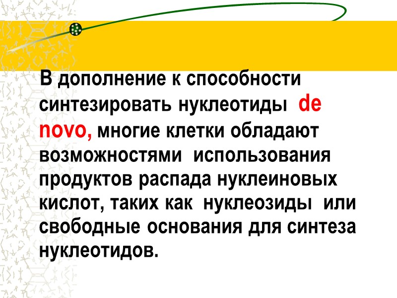 В дополнение к способности синтезировать нуклеотиды  de novo, многие клетки обладают возможностями 